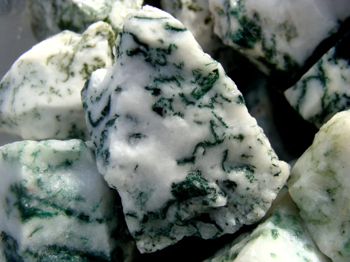 Celebrating Tree Agate