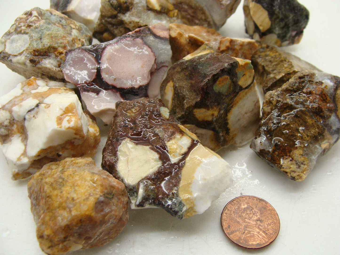 Rough Jasper, Cobra - 1 LB, Size Small