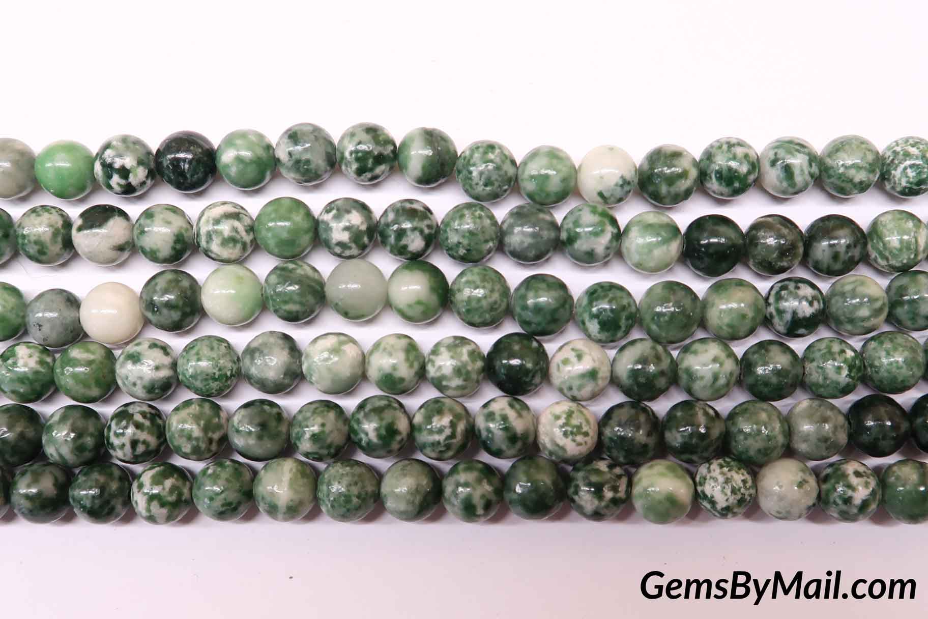Spotted Tree Agate