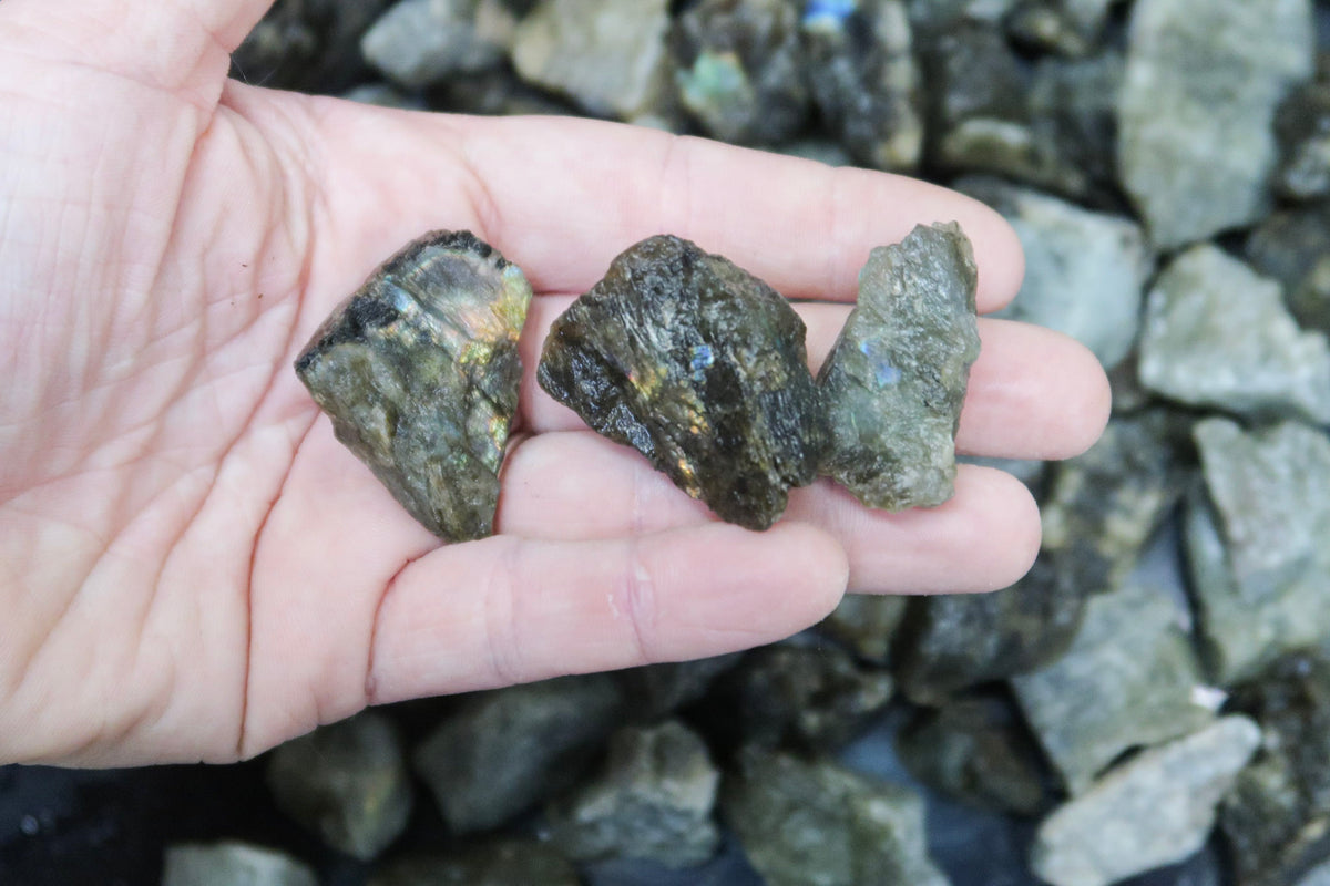 Close up picture of a hand holding 3 rough labradorite stones that are approximately 1-2 inches in size.