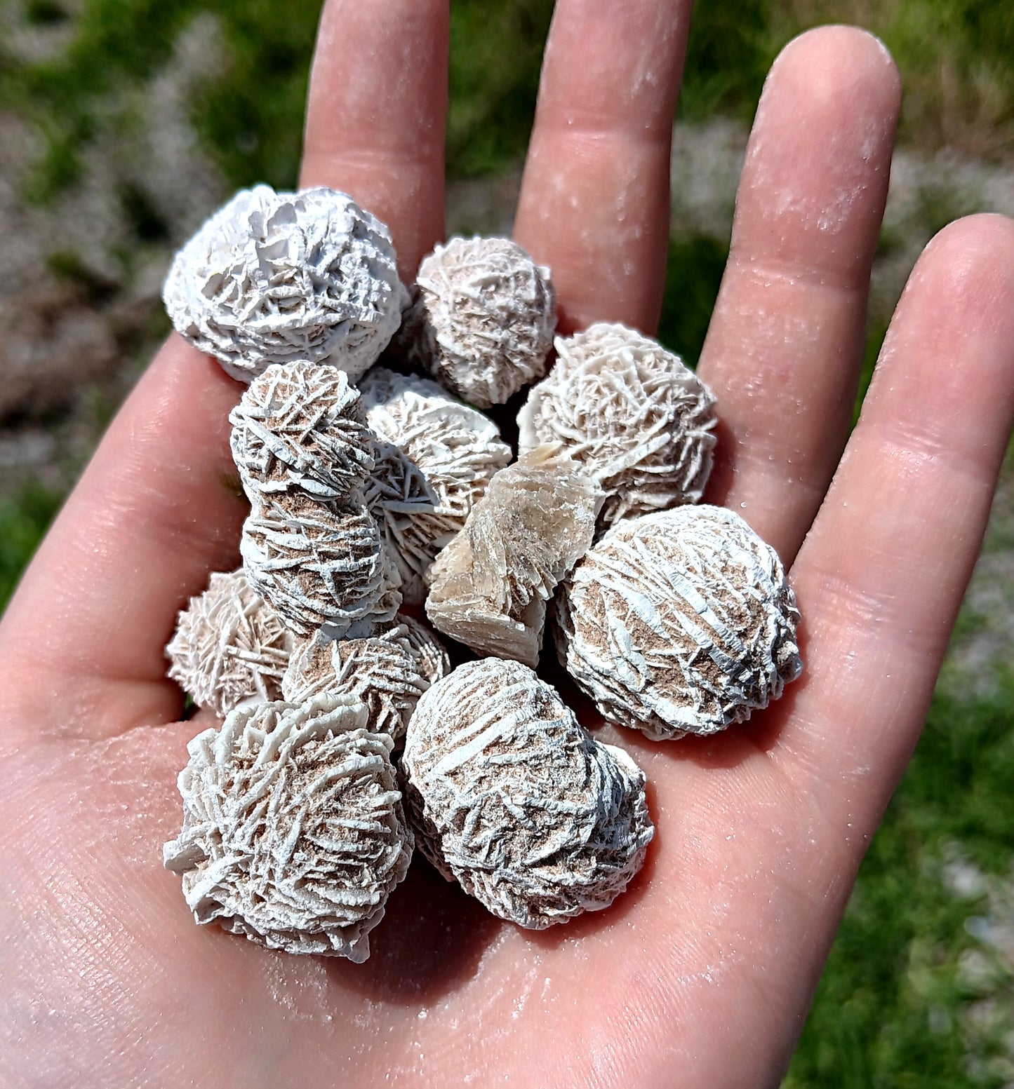CLEARANCE: Selenite, Desert Rose - 1 LB, Size Small