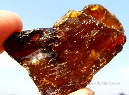 Amber: A Comprehensive Guide to its Scientific, Metaphysical, and Practical Uses