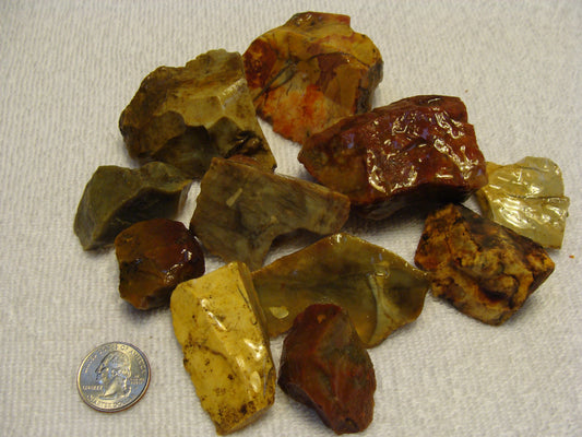 Flint Ridge, Ohio: A Rockhound's Guide to Colorful Chert