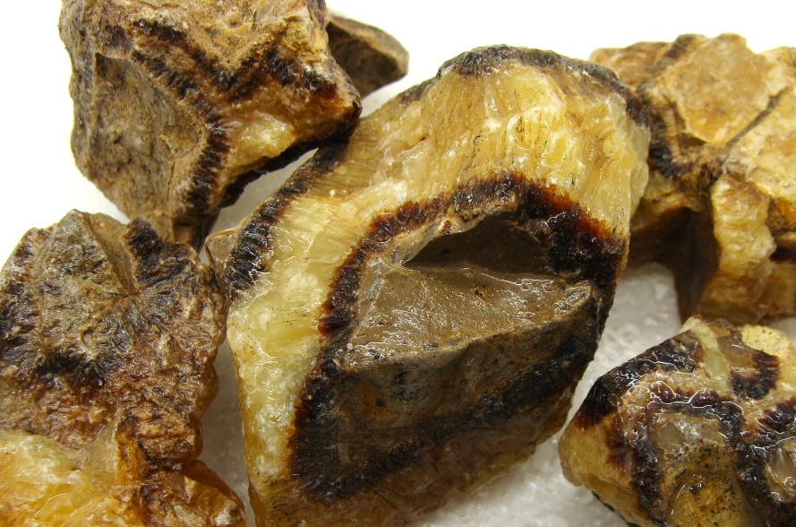 Septarian