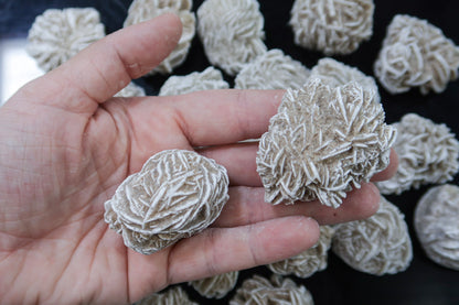 Specimen Rough - Selenite Roses  - 1 LB