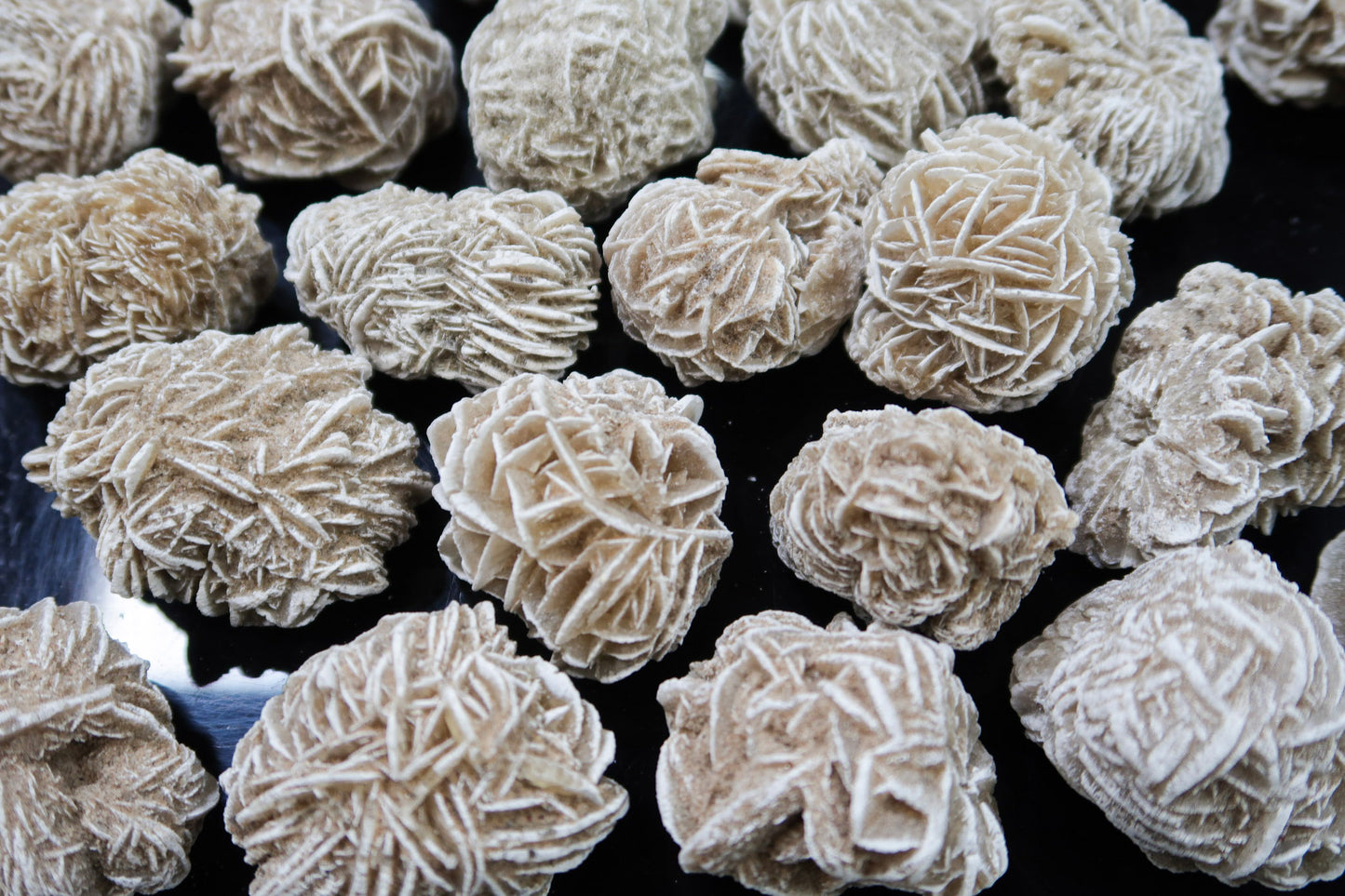Specimen Rough - Selenite Roses  - 1 LB