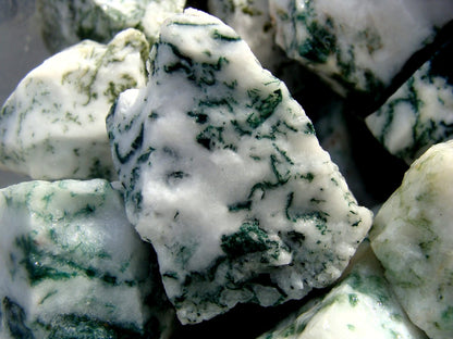 tree agate rough rock