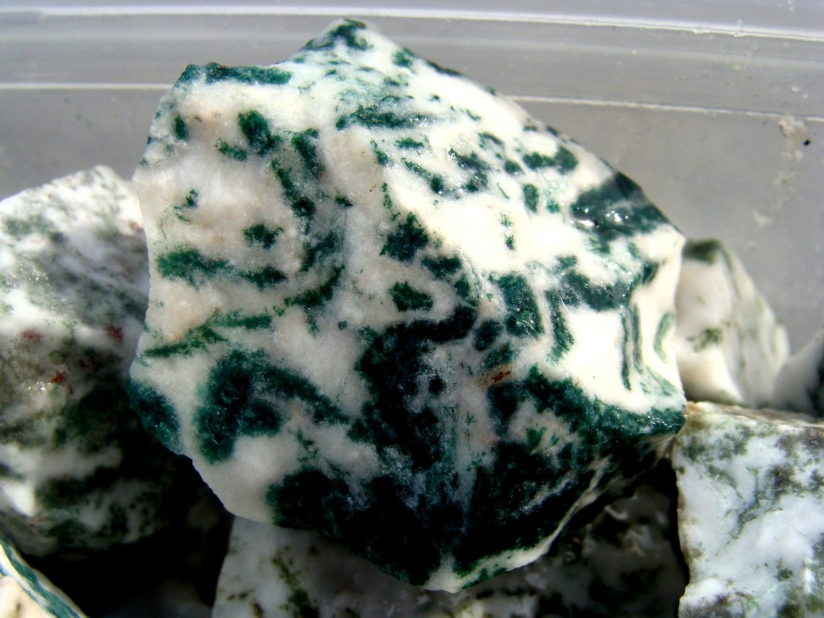 tree agate rough stone