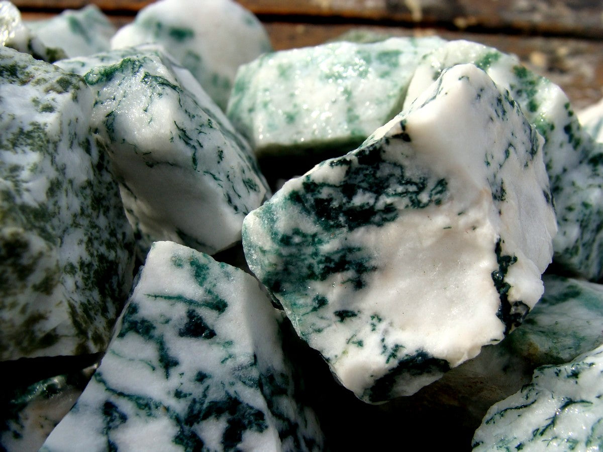 tree agate rough gem