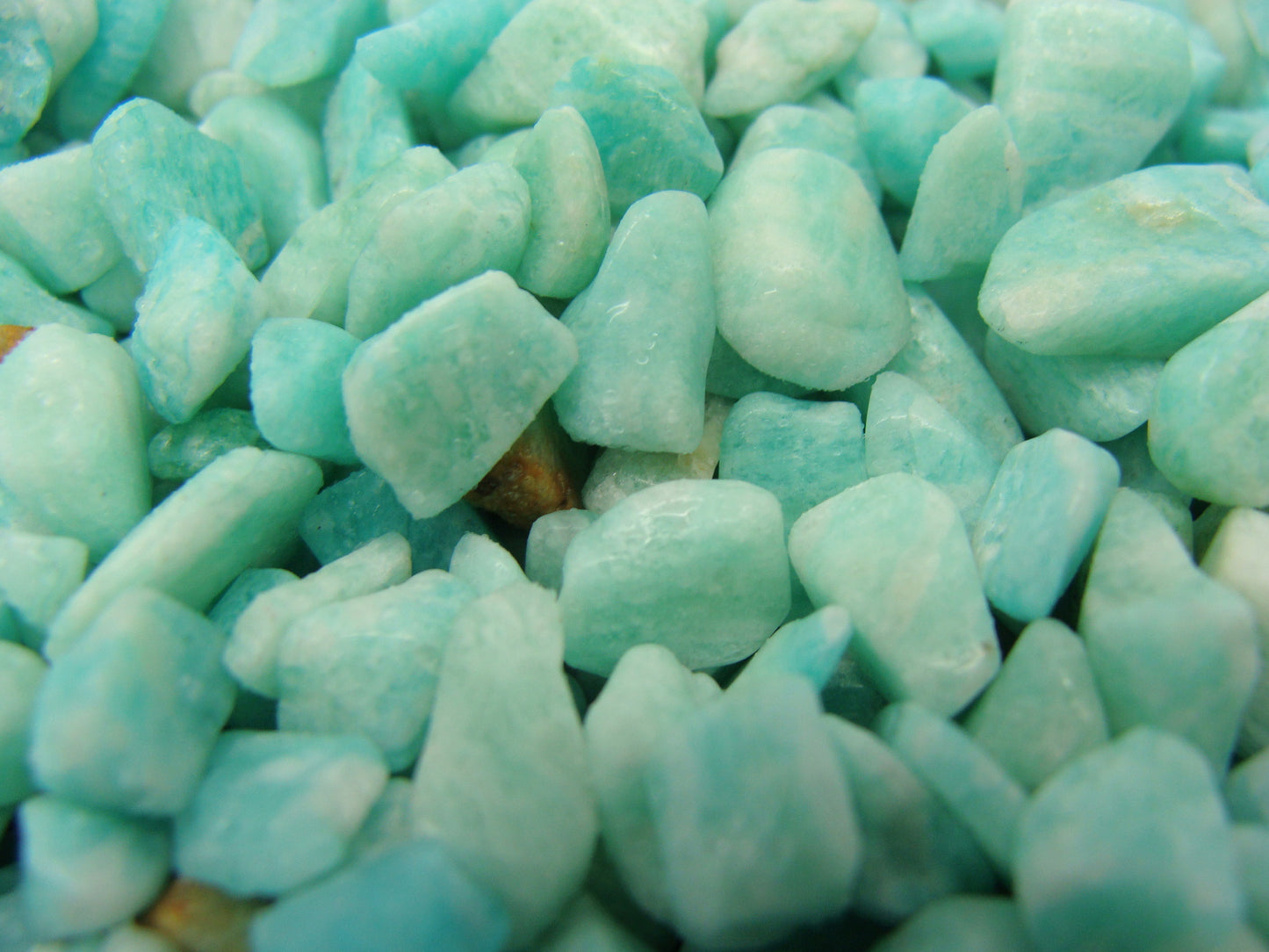 Mini Tumbled Chips - Amazonite