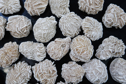Specimen Rough - Selenite Roses  - 1 LB