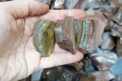 Rough Tiger Iron - 1 Lb Lots
