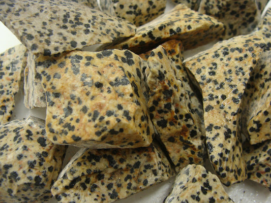 Rough Jasper, Dalmatian - 1 LB, Size Small