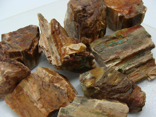 Tumble Mix Rough  -  Petrified Wood