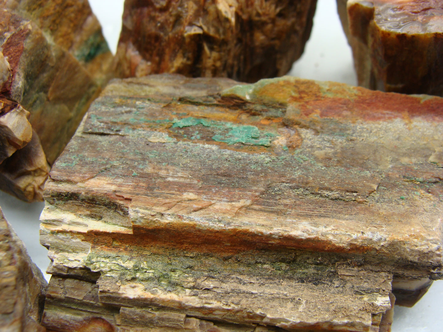 Tumble Mix Rough  -  Petrified Wood