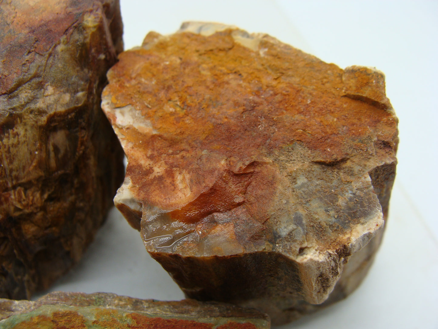 Tumble Mix Rough  -  Petrified Wood