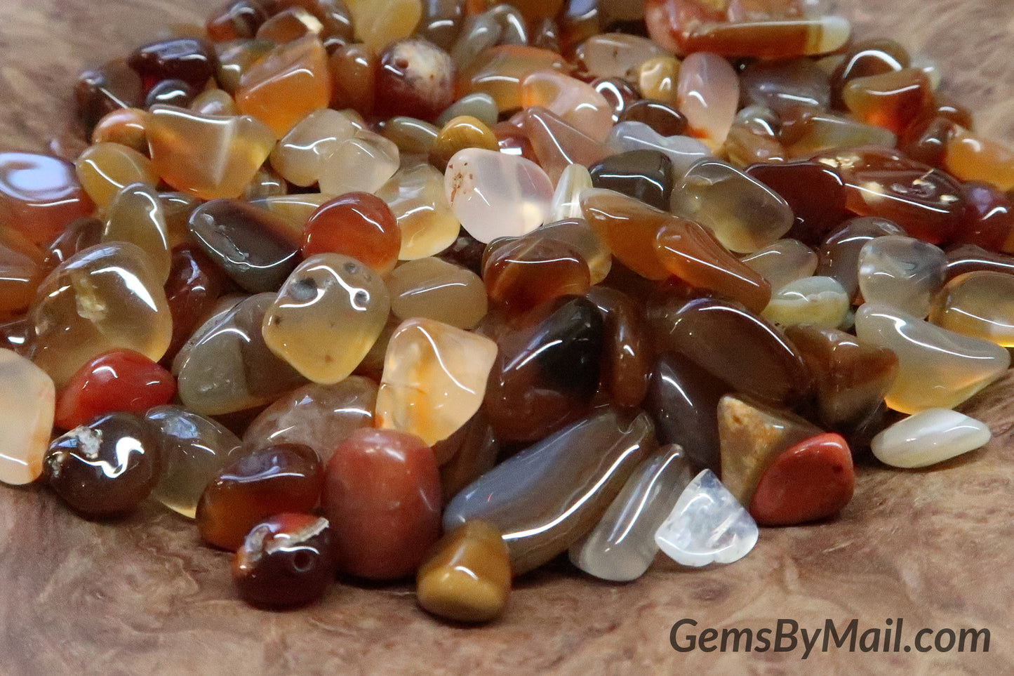 Mini Tumbled Chips - Carnelian