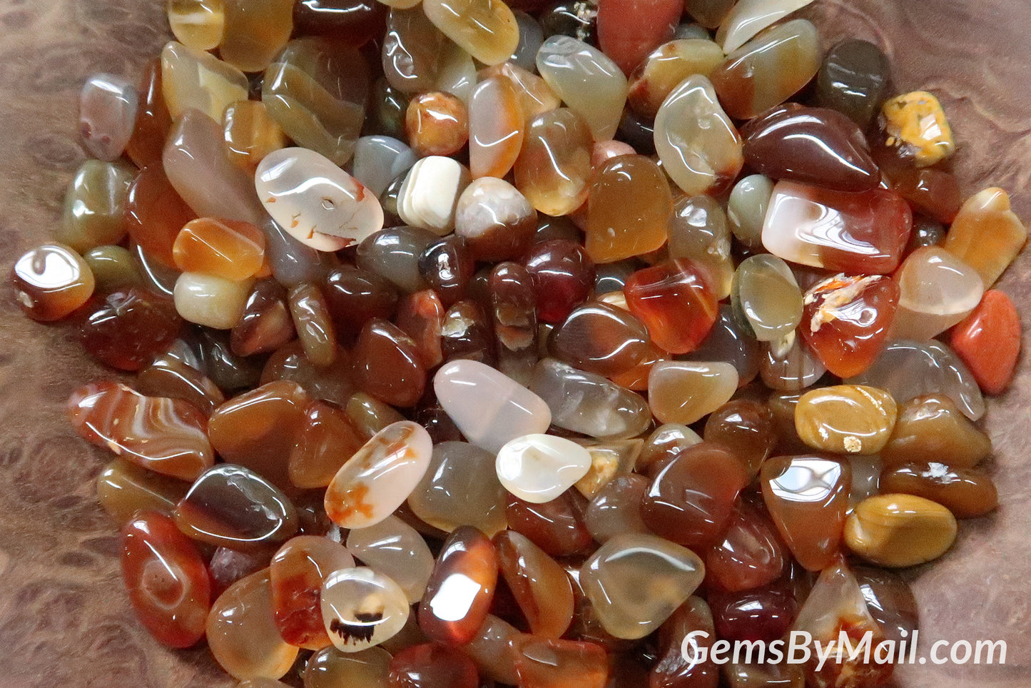 Mini Tumbled Chips - Carnelian