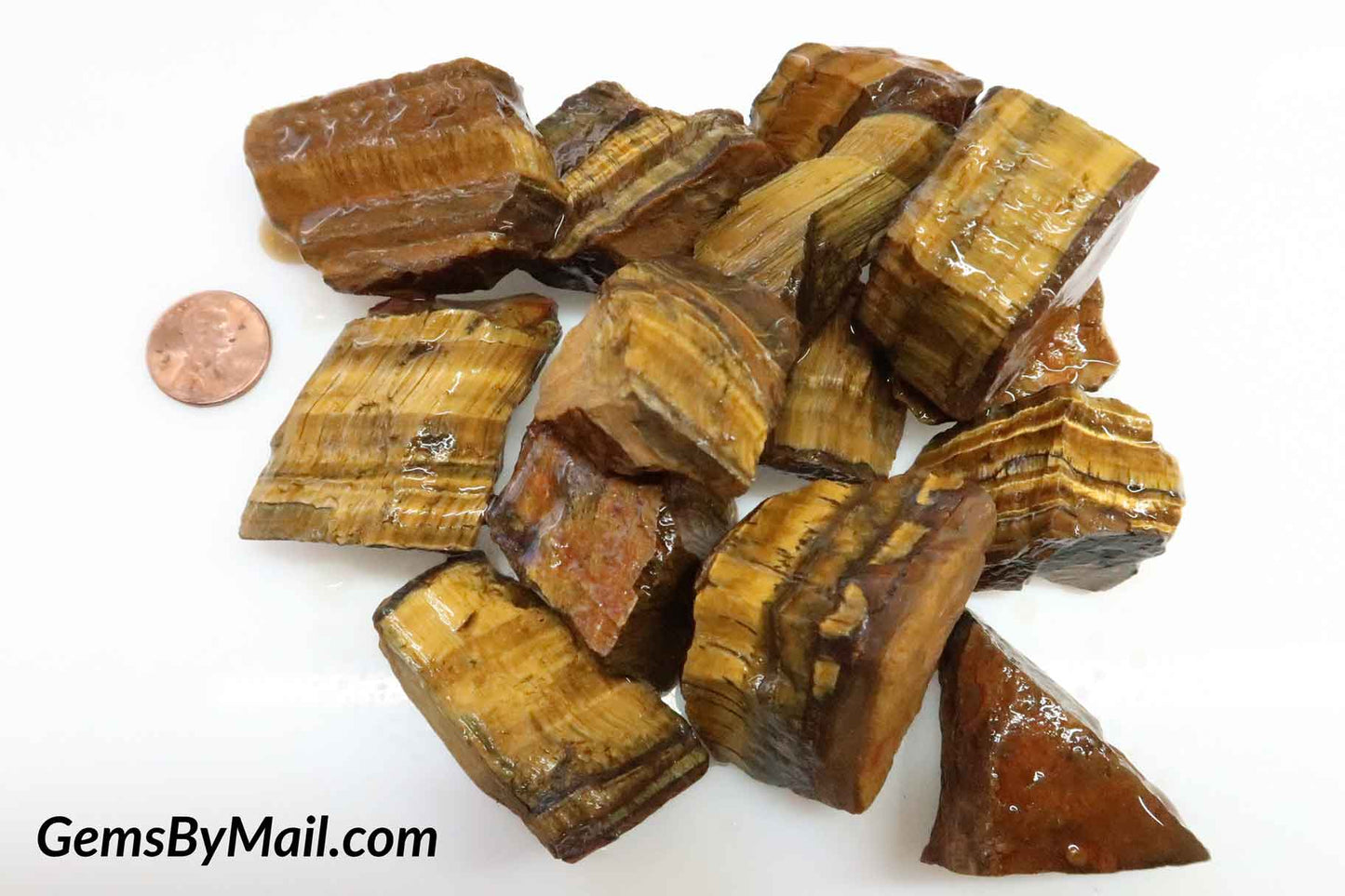 Tiger Eye