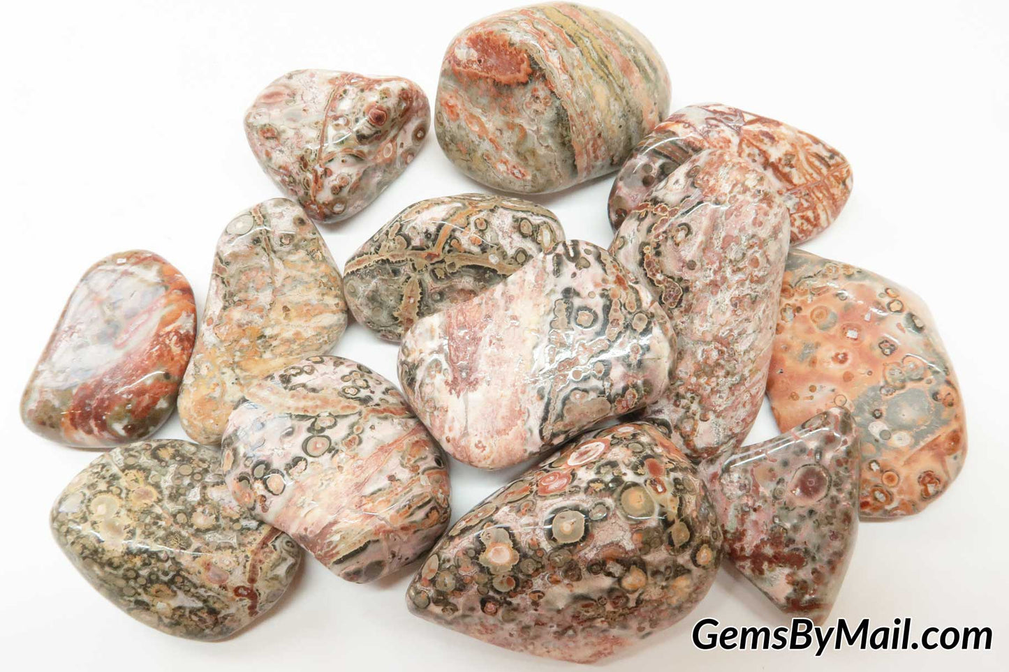 Leopardskin Jasper 