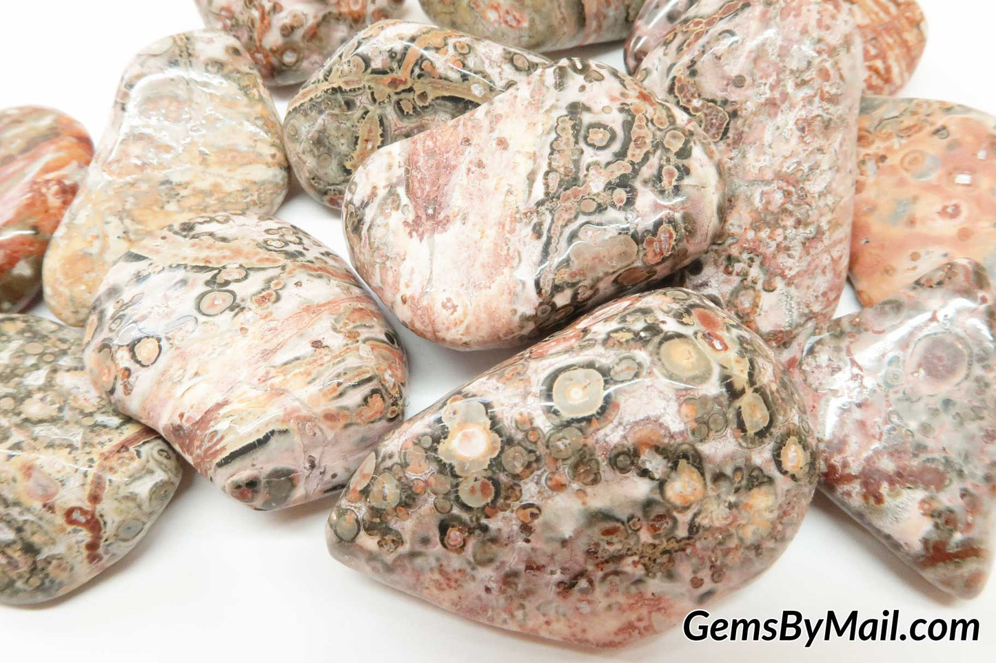 Leopardskin Jasper Tumbled