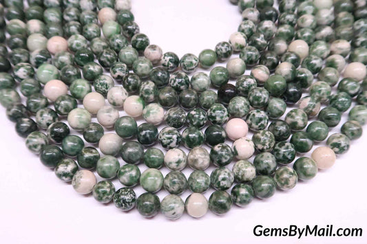 Tree Agate Beads