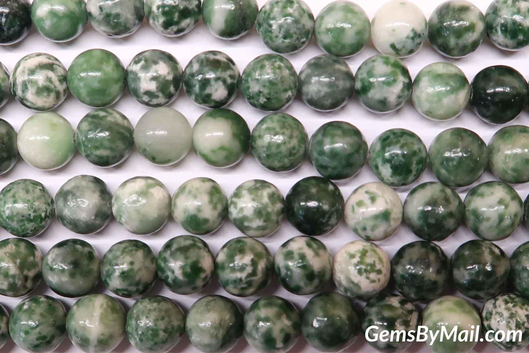 Spotted Tree Agate Beads