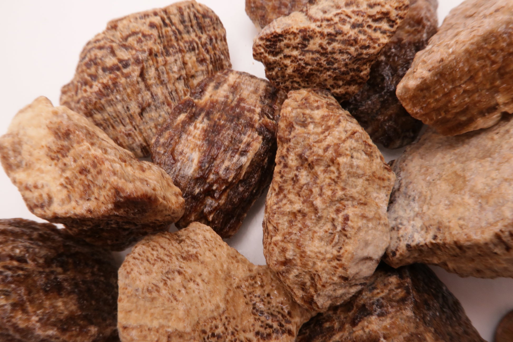 Aragonite