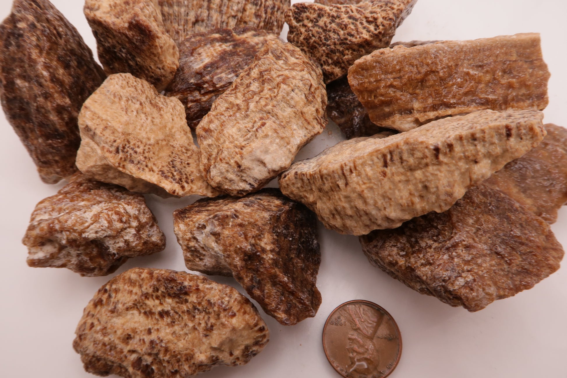 Aragonite banded