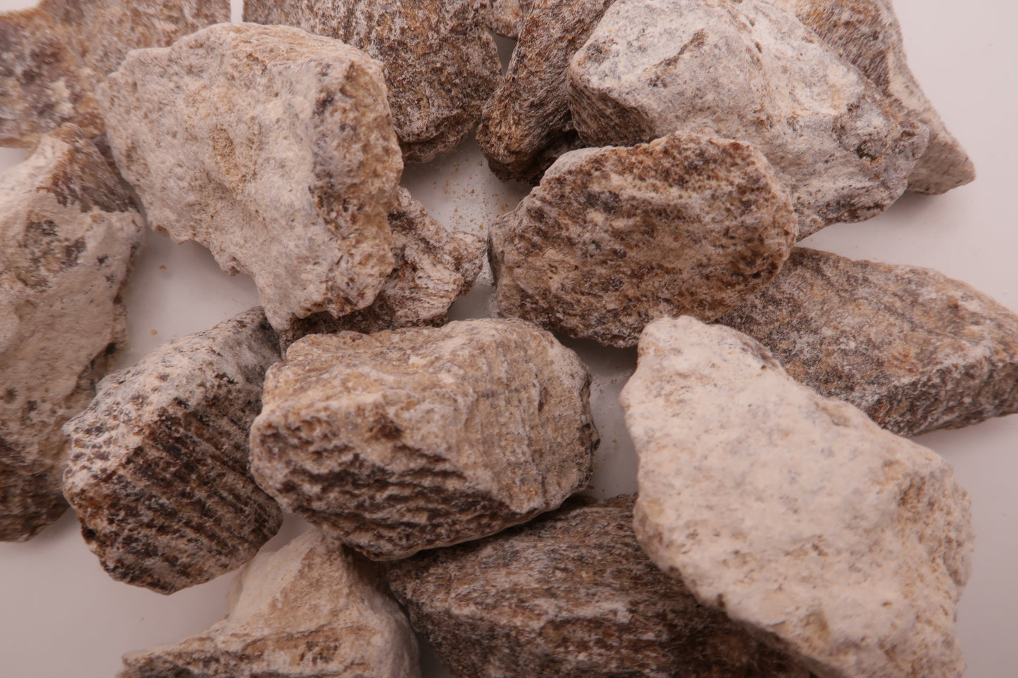 Aragonite rough