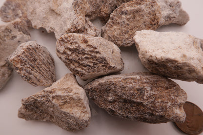 Aragonite raw