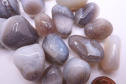 Polished Gray Agate banded
