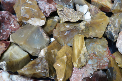 Rough Flint Tumbling Rough - Ohio Flint Ridge - Small/Medium Size