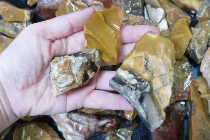 Rough Flint Tumbling Rough - Ohio Flint Ridge - Small/Medium Size