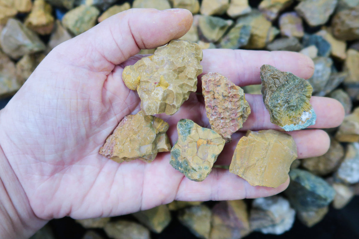 A hand holding five rough, raw mineral or stone chips in shades of yellow, brown, and green, with a pile of similar stones blurred in the background.