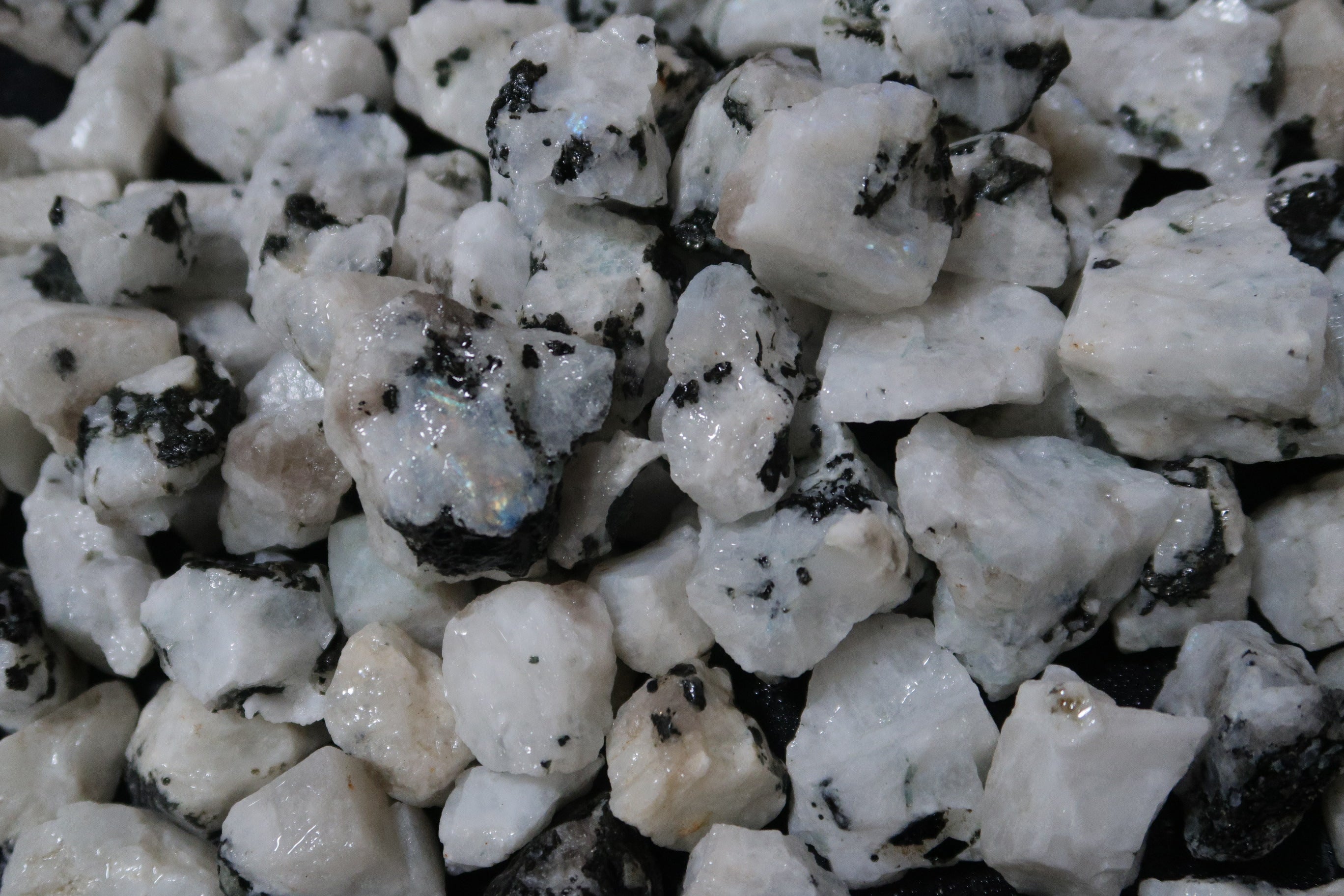 Rough White Rainbow Moonstone - 1 LB, Size Small – Gems By Mail