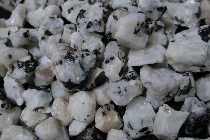 Rough White Rainbow Moonstone - 1 LB, Size Small