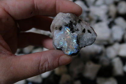 Rough White Rainbow Moonstone - 1 LB, Size Small