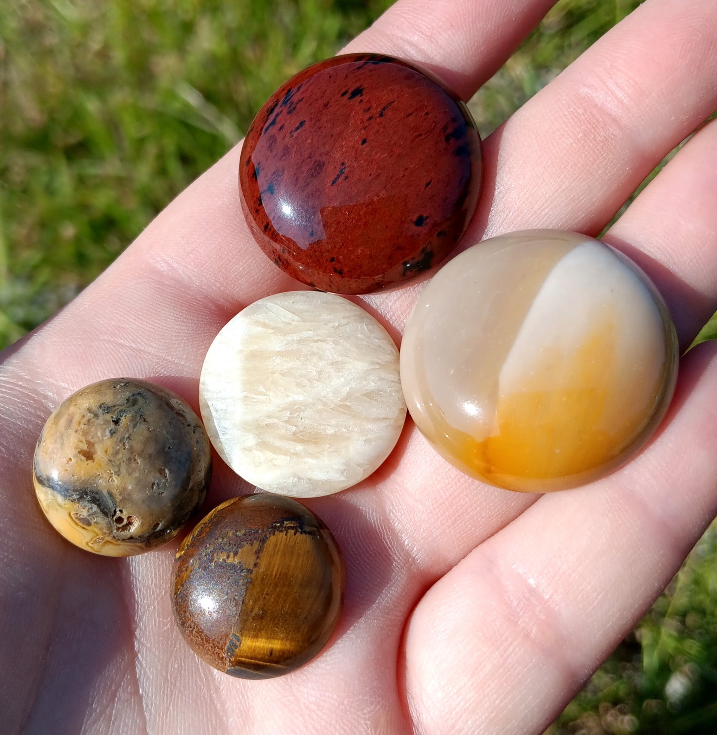 Cabochon Lot, Chicken of the Woods