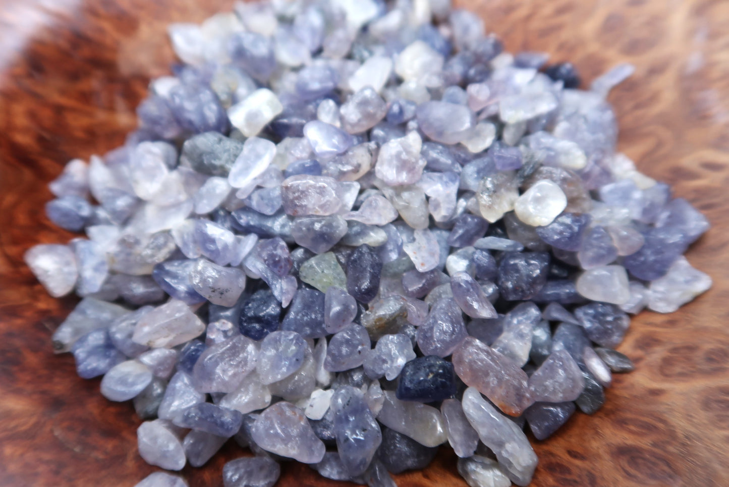 Mini Tumbled Chips - Iolite, 1/4 LB