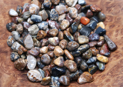 Mini Tumbled Chips - Pietersite, 1/4 LB